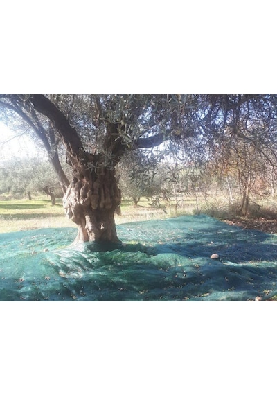 Morilu Zeytin Toplama Filesi Sergenlik Zeytin Yaygısı Yüzde 75'lik Zeytin Filesi Toplama Örtüsü