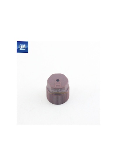 Opel Klima Dolum Sibopu Kapak Gaz Kaçak Emniyet Kapak Gm 515569180