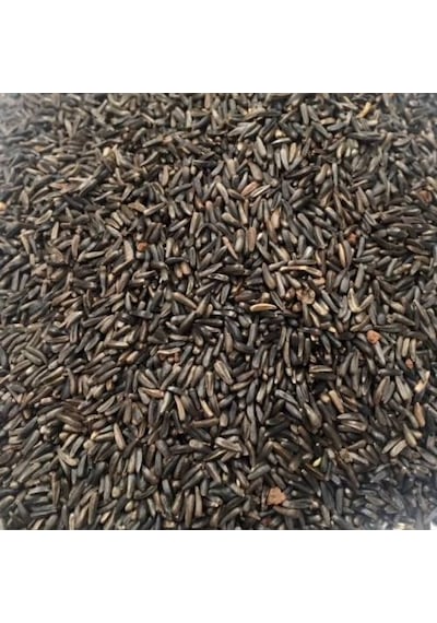 Nijer Tohumu 250 Gr Kuşlar için Nijer Tohum Yemi Kızıştırıcı Yem