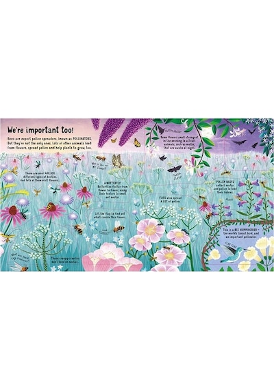 Look Inside: The World Of Bees - Usborne