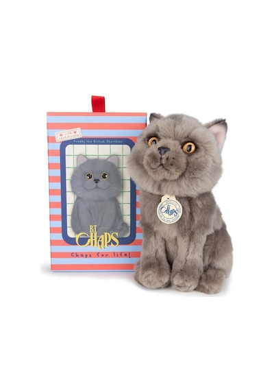 Bon Ton Toys B.t. Chaps Freddy The British Shorthair Kutulu Peluş Oyuncak 17 Cm - 7'' 32179007 Gri