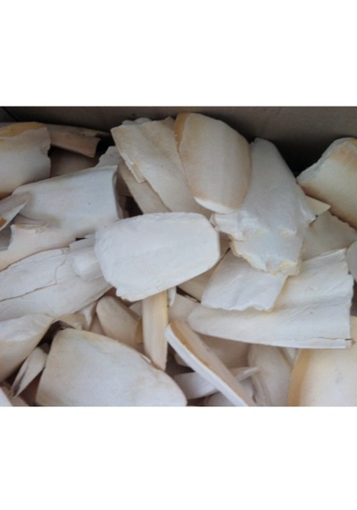 Purecanpati Kırıklı Iri Boy Kalamar Kemiği 100 G