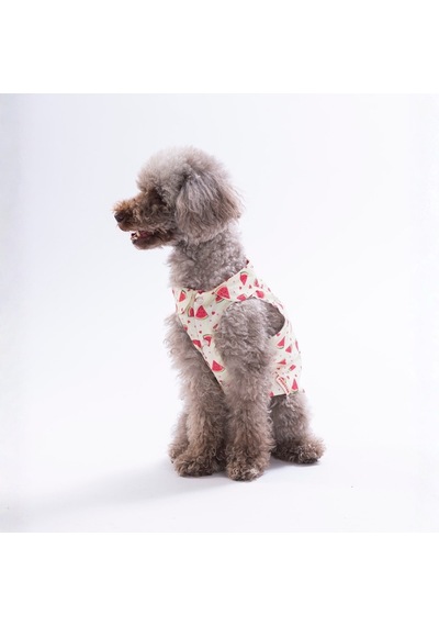 Berry Crush Meyve Desenli Kedi Köpek Gömleği-kedi Köpek Kıyafeti-kedi Gömlek-köpek Gömlek