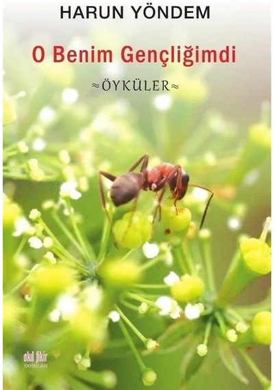 O Benim Gençliğimdi - Öyküler - Harun Yöndem - Akıl Fikir Yayınları