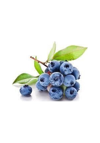 10 Adet Yaban Mersini Tohumu Blueberry Tohumu