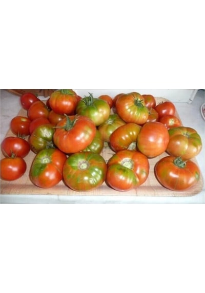 Agrobazaar Yayla Domates Tohumu 50 Adet Tohum