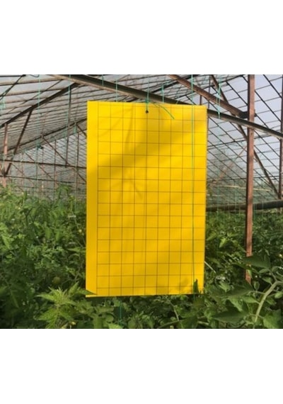 25 X 40 Cm Yapışkan Kareli Tuzak 10 Adet