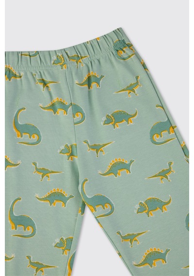 Panço Erkek Çocuk Dinazor Desenli Pijama Takımı Turkuaz