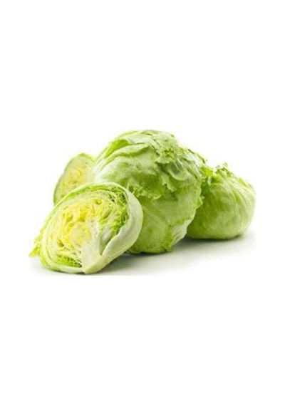 150+ Iceberg Göbek Marul Tohumu N113510