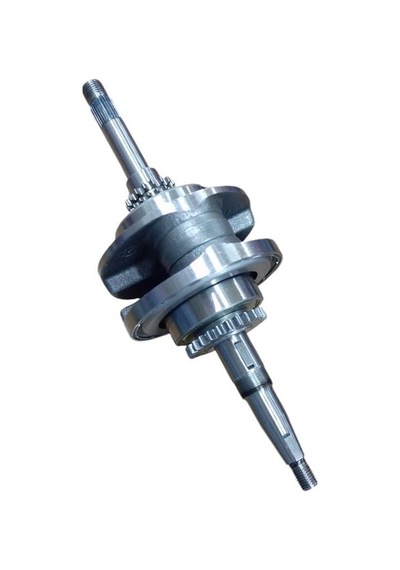 Private 125 Krank Komple Oem 6007000049415