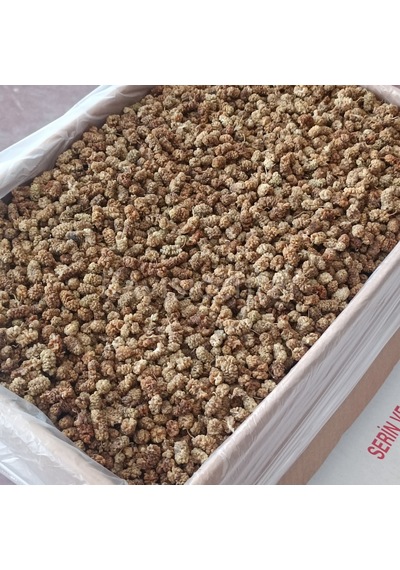 Toptan Yerli Orta Kalite Dut Kurusu 11 Kg Diğer