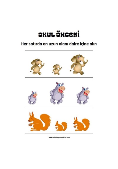 Okul Öncesi Ve Birinci Sınıflar Matematik Başlangıç Seti