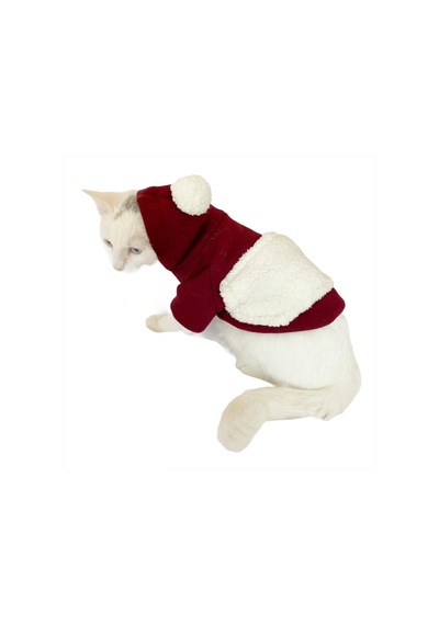 Kemique Cream Sweatshirt Kedi Süveteri