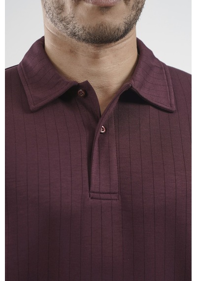 Polo Yaka Çizgi Detaylı Regular Kalıp Erkek Tişört Bordo