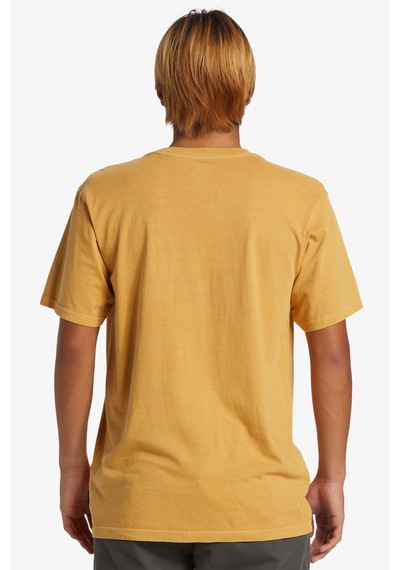 Quiksilver Salt Water Erkek Tişört Aqyzt09558-69-sarı
