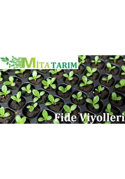 Fide Viyolü,9 Adet, 104 Göz Fide Viyol, Tohum Yetiştirme Viyolü