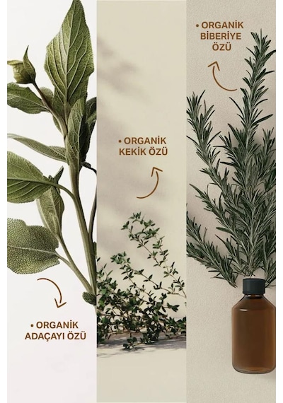 Insight Kepekli Saçlar İçin Arındırıcı Şampuan 350 Ml