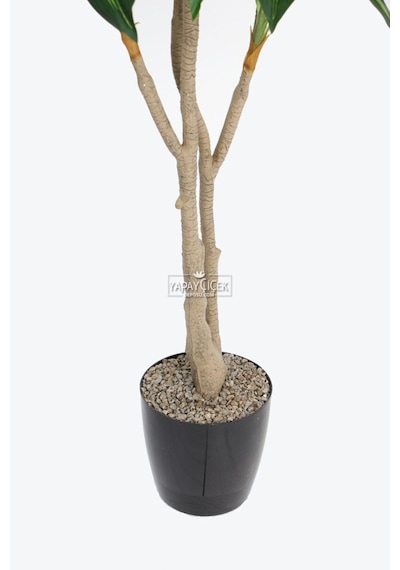 Yapay Ağaç Lüx 4 Gövdeli Cordyline 180 Cm Yeşil-sarı