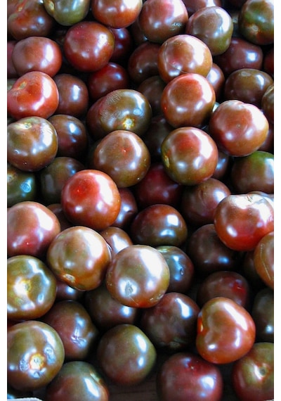 Kara Prens Domates Tohumu Geleneksel Black Prince Tomato Seeds
