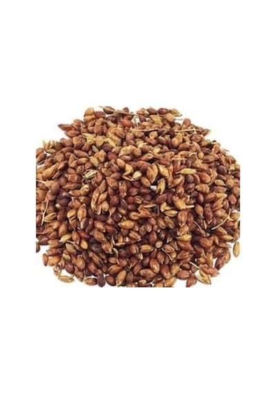 Aktar Store Süpürge Tohumu 100 Gr