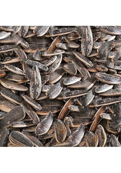 Tuzlu Dakota Ay Çekirdeği 500 G