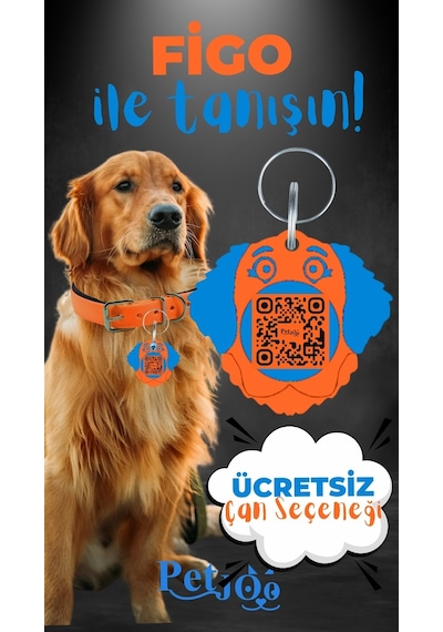 Petjoo 27.Figo Mavi-Turuncu Qr'lı Köpek Künyesi