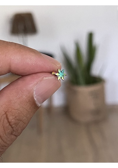 Şık Cerrahi Çelik Dudak Tragus Helix Kıkırdak Conch Minimal Yıldız Piercing Turuncu