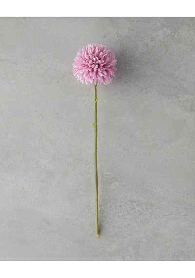 Dandelion Tek Dal Yapay Çiçek Gül Kurusu