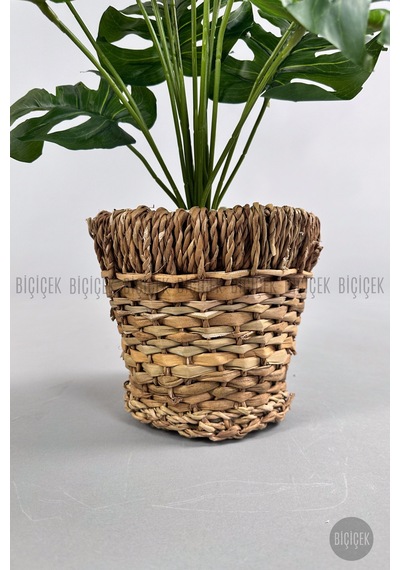 Yapay Monstera Deve Tabani 65 Cm Demi R Destekli Kulpsuz Hasir Saksıda Krem