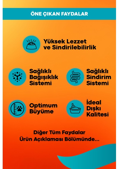 Tavuklu Yavru Kedi Maması - Büyüme 15kg