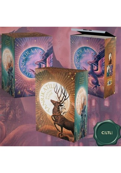 Düşmüş Tanrılar Serisi - 3 Kitaplık Kutulu Set Ciltli / Hann...