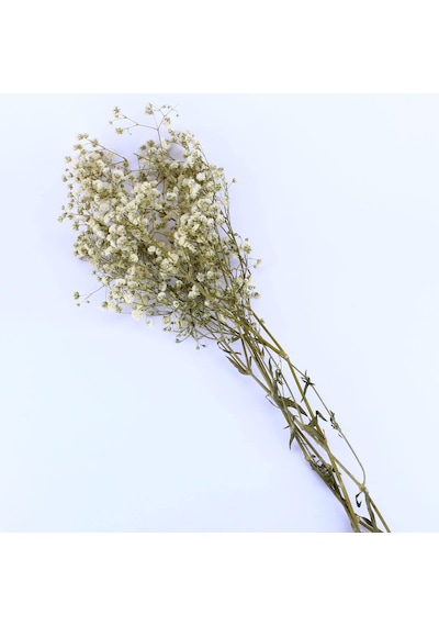 Tr Kuru Çiçek Doğal Kurutulmuş Çiçek Doğal Cipso 40 Cm 20 Gr Natural Genel
