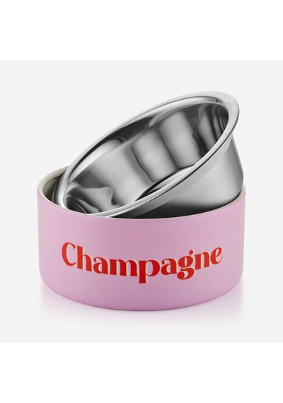 Pembe Demir Çelik Champagne Mama Kabı 20x9x20 Cm