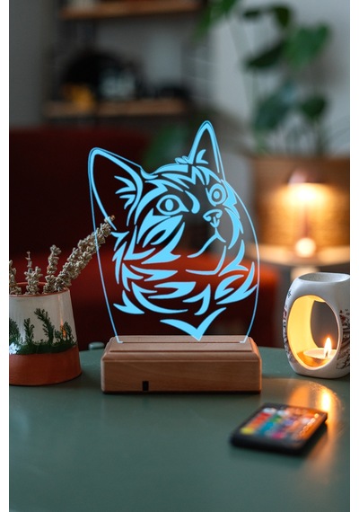 Özel Tasarım Sevimli Ked Hediyeliki 3D Led Lamba