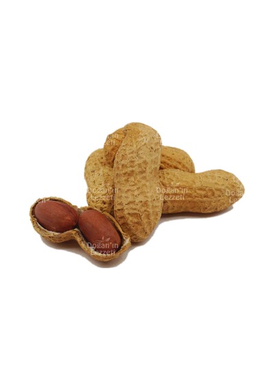 Doğan'ın Lezzeti Kabuklu Yer Fıstığı 250 G
