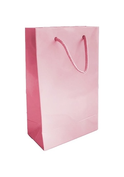 12X17 Cm Pembe Düz Renk Tutma Ipli 25 Li Karton Çanta