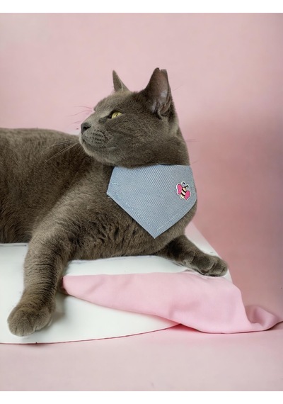 Kemique Butterfly Bandana Fular Kedi Kıyafeti