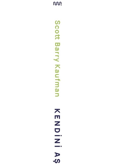 Kendini  Aş