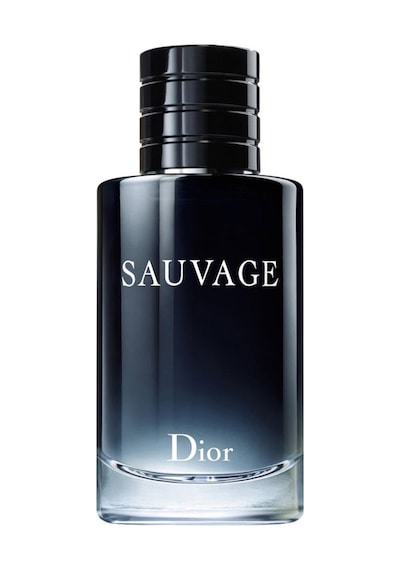 C. Sauvage Erkek Edt100ml Fresh