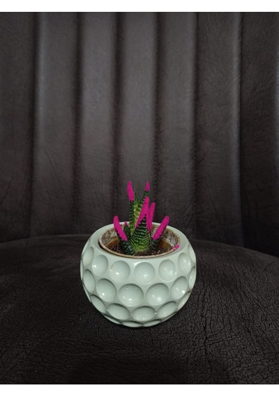 Mini Saksı Ve Kaktüs Seti Bordo