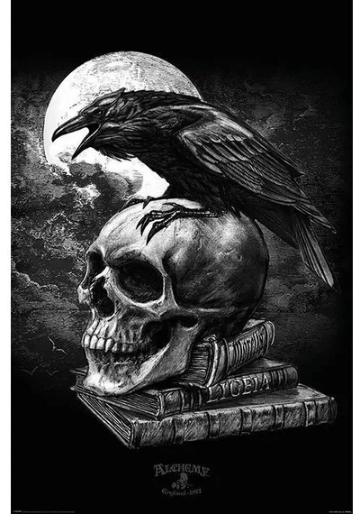 Maxi Poster Alchemy Poe's Raven