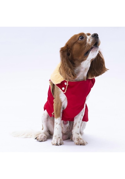 Kırmızı Yukon Yelek Köpek Yeleği Köpek Kıyafeti Köpek Yağmurluk