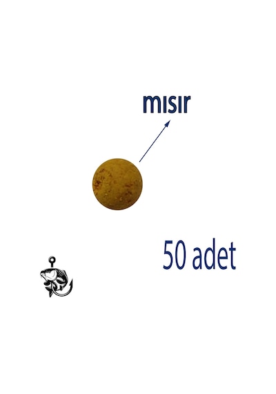 Mısır Aromalı Boili (Pop)