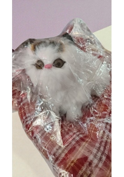 Sesli Kendinden Yataklı Yapışık Kedicik Ürün Boyutu Yatak Dahil 23cm 23 Cm
