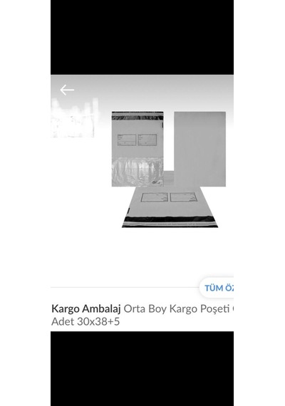 Orta Boy Cepli Kargo Poşeti 100 Adet 30 x 38+5