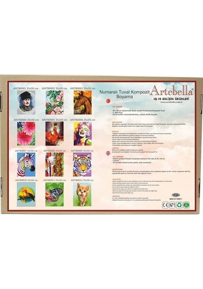 Artebella Numaralı Tuval Kompozit Boyama Antb0010 "Papağan" 35X50