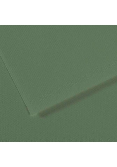 Canson Fon Kartonu Dokulu Mı-teıntes Sh Canmt 50x65 160 Gr Grn 190