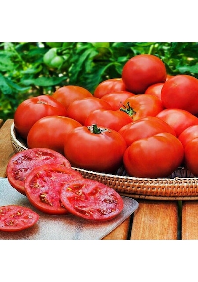 Doğal Floridade Domates Tohumu 20 Tohum 1 Set