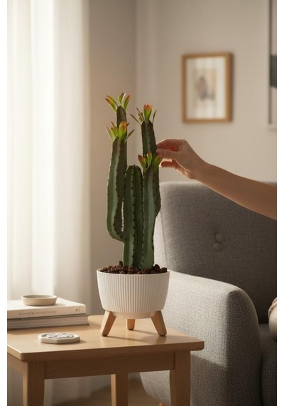Yapay Kaktüs 4 Kollu Yapraklı Model Zigon Saksıda Yapay Bitki 70cm Yeşil