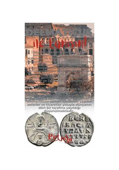 Petjoo 28.Delmaticus Kırmızı-Gri Qr'lı Köpek Künyesi